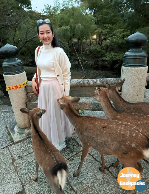 京都奈良一日遊：餵食奈良小鹿（圖／酒妮背包攝）
