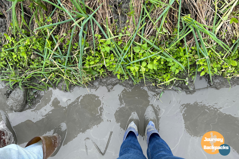 穿著雨鞋走在滿是泥濘的蔥田裡真的是很特別的體驗。（圖／酒妮背包攝）