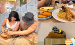 Meerkat75 Café-75度獴｜能抱狐獴10分鐘！小巨蛋周邊咖啡廳美食推薦，狐獴駐店陪你吃美味義大利麵