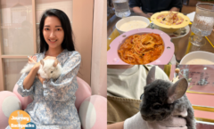 悠悠龍貓咖啡｜擼龍貓抱抱拍照！南港動物餐廳咖啡廳推薦，吃飯全程還有專屬龍貓坐檯陪伴