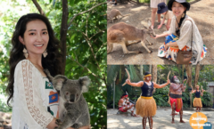 澳洲黃金海岸抱無尾熊》可倫賓野生動物園交通方式/優惠門票/表演秀時間！還能搭小火車餵袋鼠