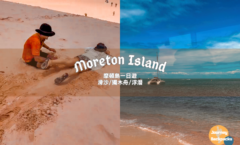 2025摩頓島一日遊》滑沙/獨木舟/浮潛/餵海豚！布里斯本到摩頓島交通玩法一次看
