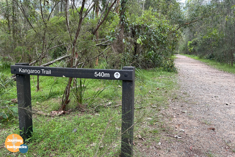 Coombabah Lakelands Conservation Area trails,可以走袋鼠步道、無尾熊步道 Coombabah Lakelands Conservation Area trails,可以走袋鼠步道、無尾熊步道
