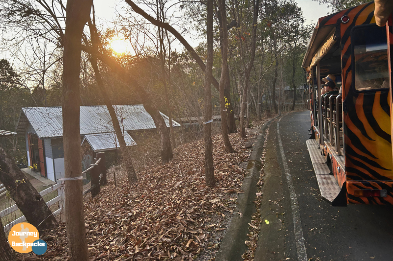 清邁夜間動物園遊園車