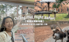 清邁夜間動物園表演時間、交通方式一次看！40元就能餵長頸鹿拍照～1招訂票省400元