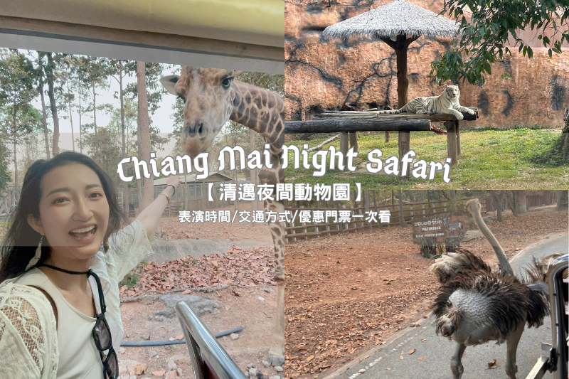 清邁夜間動物園表演時間、交通方式一次看！40元就能餵長頸鹿拍照～1招訂票省400元