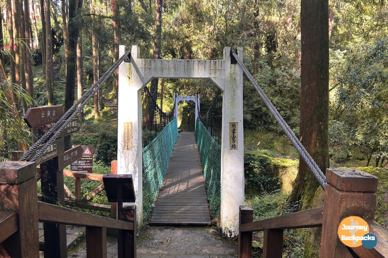 不過天氣涼涼的酒妮決定用走的,沿途看到阿里山吊橋、象鼻木、三代木,還有捕捉到台灣獼猴的身影。