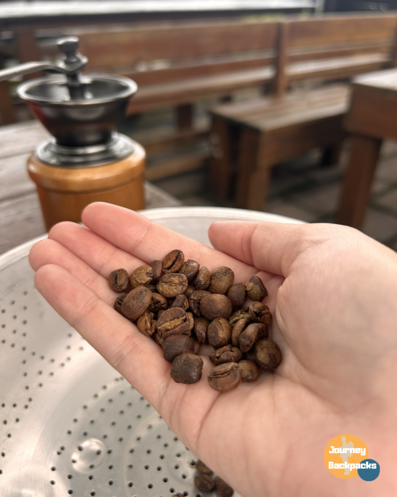 「華山休閒農業區發展協會」體驗手烘咖啡豆DIY