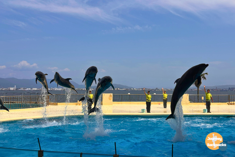 海洋世界海之中道水族館