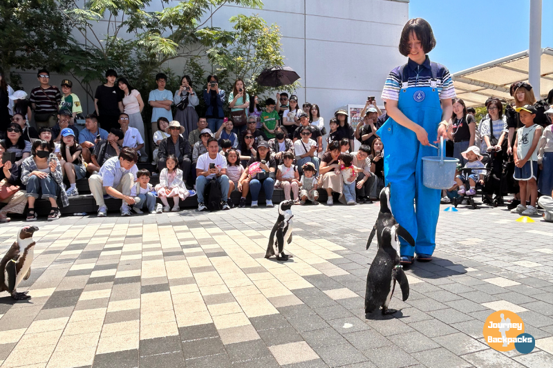 海洋世界海之中道水族館