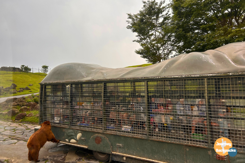 九州自然動物公園
