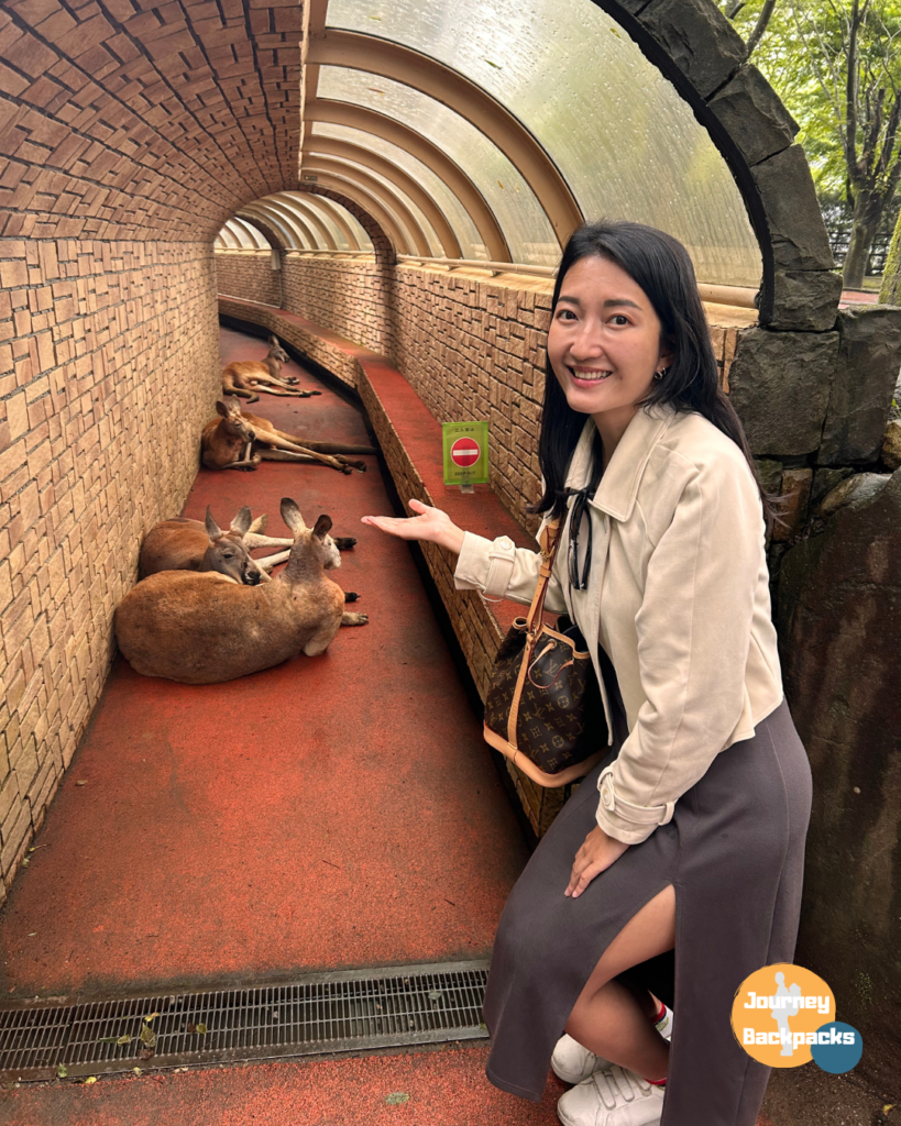 九州自然動物公園